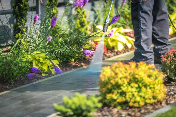 Best Post-Construction Pressure Washing  in Nocatee, FL