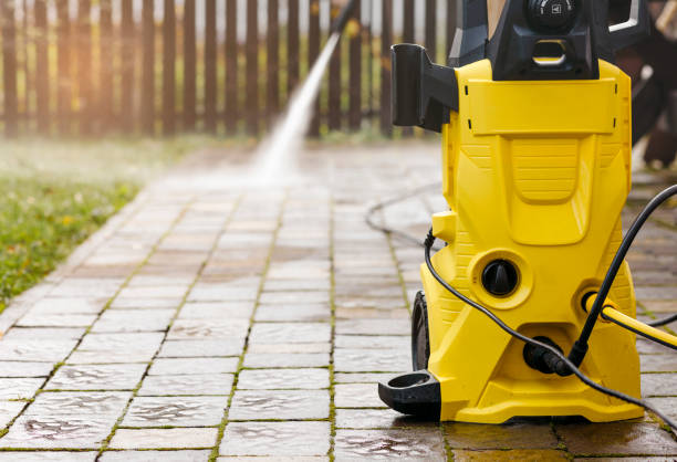 Animal Enclosure Cleaning in Nocatee, FL